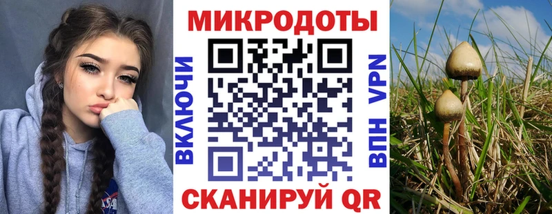 Галлюциногенные грибы Psilocybine cubensis  цены наркотик  Отрадный 