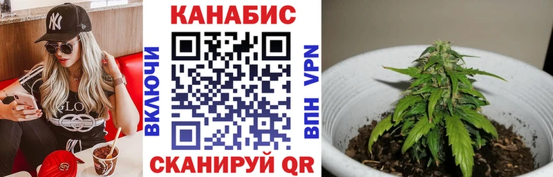 KRAKEN маркетплейс  Отрадный  Канабис White Widow 